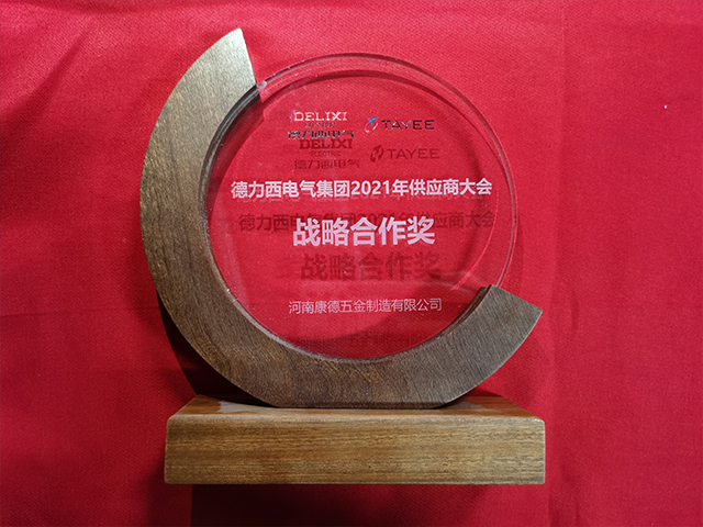 德力西电气集团2021年供应商大会战略合作奖